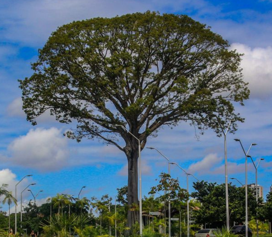 Link para o formulário de visita ao peut