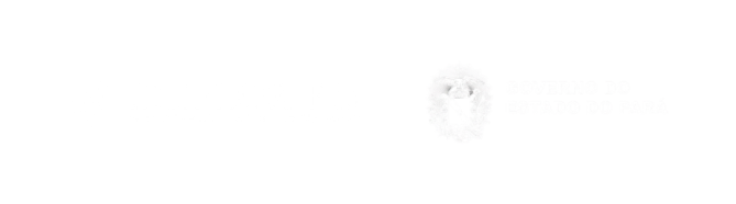 Design sem nome (35)