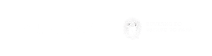 Design sem nome (35)